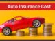 Auto Insurance Cost